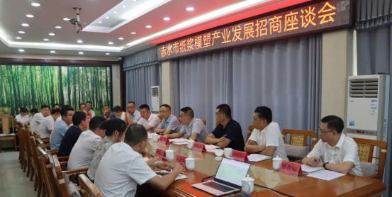 pulp molding industry